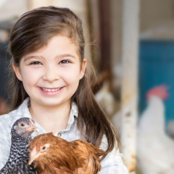 Sydney-royal-easter-show-farm-to-home-elearning-experiance sydney royal show farm e-learning